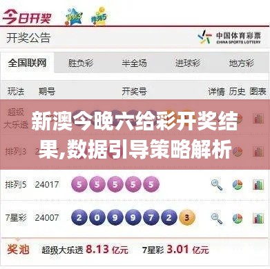 新澳今晚六给彩开奖结果,数据引导策略解析_1080p2.380
