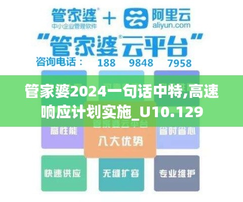 管家婆2024一句话中特,高速响应计划实施_U10.129