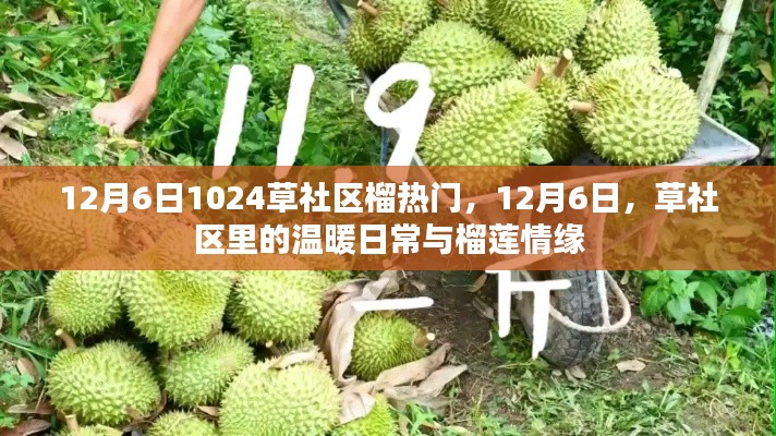 草社区榴莲情缘，温暖日常的榴莲热潮