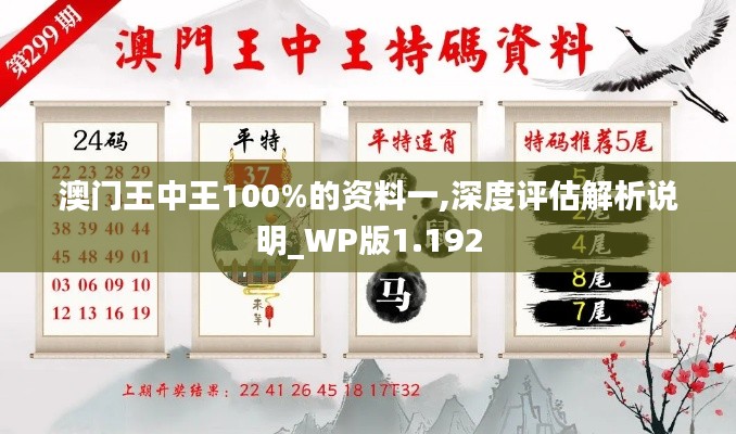 澳门王中王100%的资料一,深度评估解析说明_WP版1.192