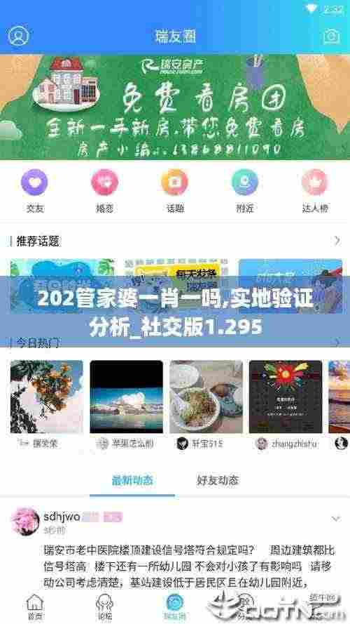 202管家婆一肖一吗,实地验证分析_社交版1.295