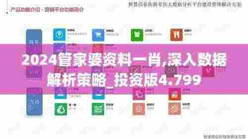 2024管家婆资料一肖,深入数据解析策略_投资版4.799