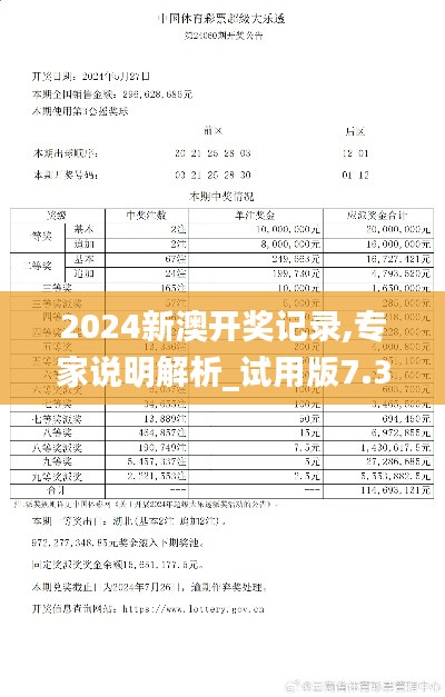 2024新澳开奖记录,专家说明解析_试用版7.377