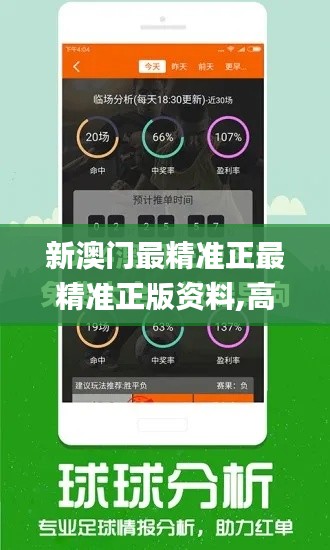 新澳门最精准正最精准正版资料,高效设计实施策略_V10.310