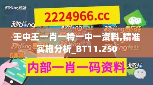 王中王一肖一特一中一资料,精准实施分析_BT11.250