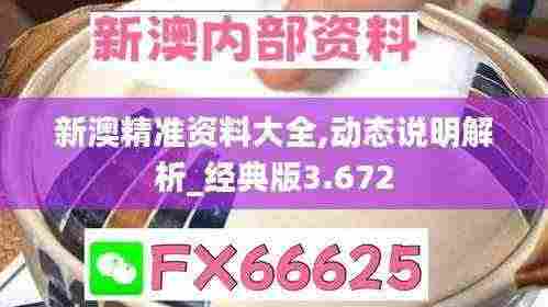 新澳精准资料大全,动态说明解析_经典版3.672