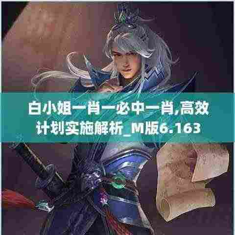 白小姐一肖一必中一肖,高效计划实施解析_M版6.163