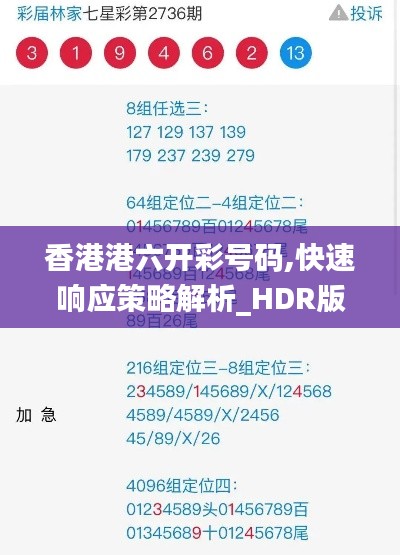 香港港六开彩号码,快速响应策略解析_HDR版4.419