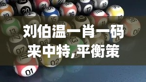 刘伯温一肖一码来中特,平衡策略指导_S7.587