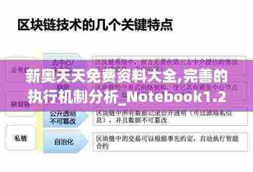 新奥天天免费资料大全,完善的执行机制分析_Notebook1.282