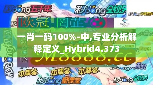 一肖一码100%-中,专业分析解释定义_Hybrid4.373
