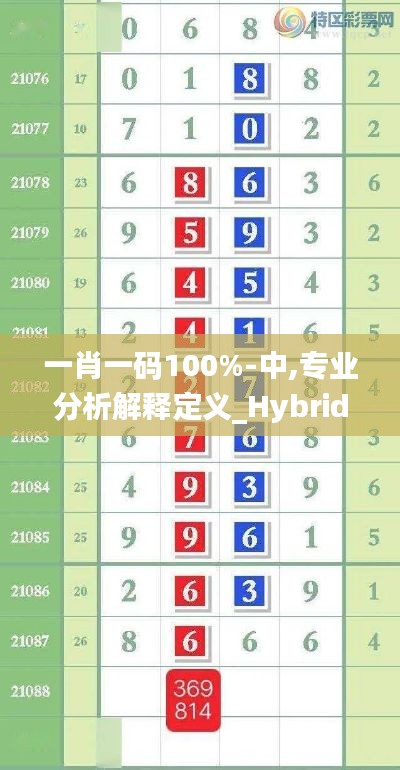 一肖一码100%-中,专业分析解释定义_Hybrid4.373