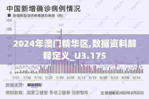 2024年澳门精华区,数据资料解释定义_U3.175