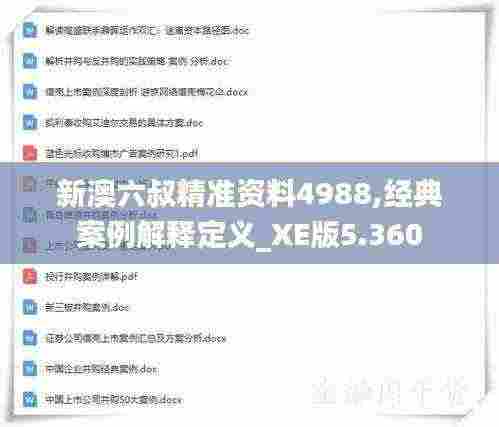 新澳六叔精准资料4988,经典案例解释定义_XE版5.360