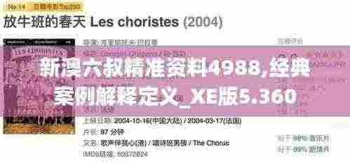 新澳六叔精准资料4988,经典案例解释定义_XE版5.360