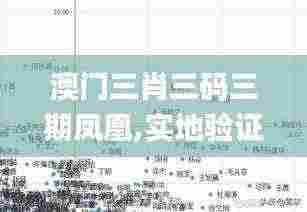 澳门三肖三码三期凤凰,实地验证数据策略_watchOS7.526