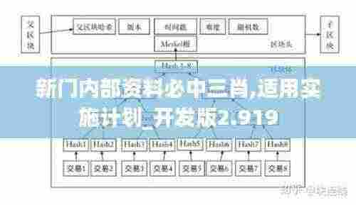 新门内部资料必中三肖,适用实施计划_开发版2.919