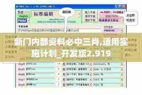 新门内部资料必中三肖,适用实施计划_开发版2.919