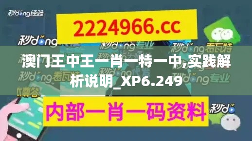 澳门王中王一肖一特一中,实践解析说明_XP6.249