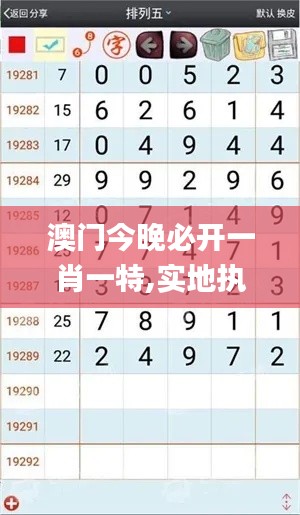 澳门今晚必开一肖一特,实地执行数据分析_增强版15.564
