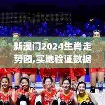 新澳门2024生肖走势图,实地验证数据设计_SHD2.504