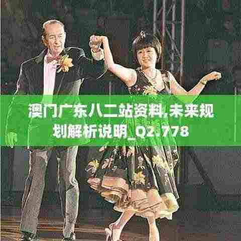 澳门广东八二站资料,未来规划解析说明_Q2.778
