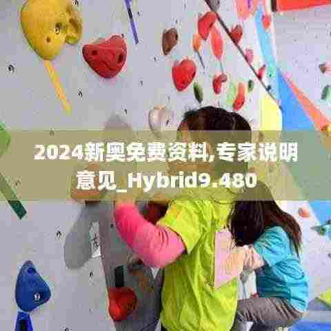 2024新奥免费资料,专家说明意见_Hybrid9.480