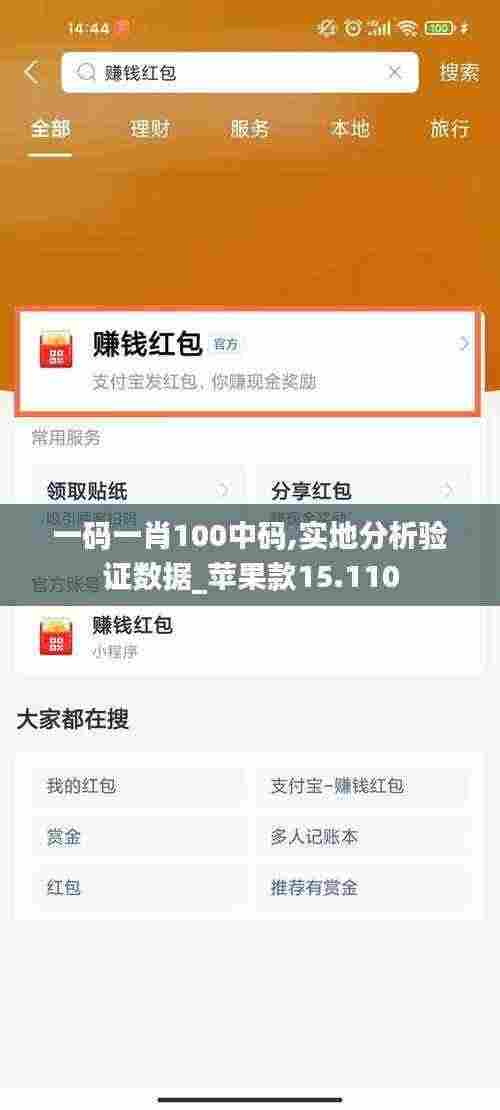 一码一肖100中码,实地分析验证数据_苹果款15.110