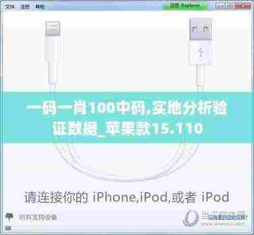 一码一肖100中码,实地分析验证数据_苹果款15.110