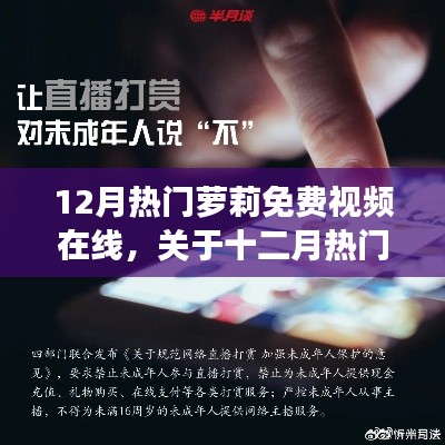 十二月萝莉文化现象，引导健康网络文化，关注青少年成长