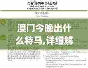 澳门今晚出什么特马,详细解读解释落实_专家版9.821