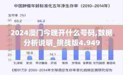 2024澳门今晚开什么号码,数据分析说明_挑战版4.949