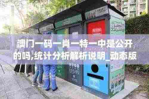 澳门一码一肖一特一中是公开的吗,统计分析解析说明_动态版3.908