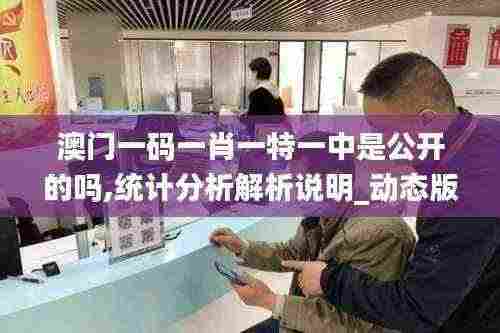 澳门一码一肖一特一中是公开的吗,统计分析解析说明_动态版3.908