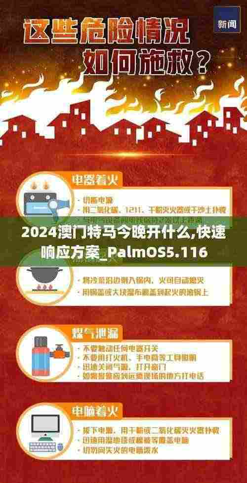 2024澳门特马今晚开什么,快速响应方案_PalmOS5.116
