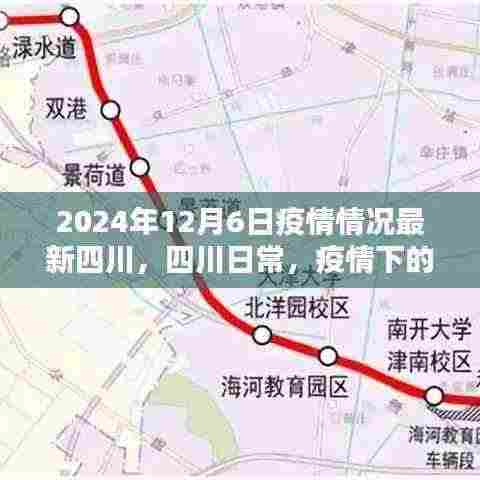 四川温馨时光，疫情下的日常与最新进展（2024年12月6日）