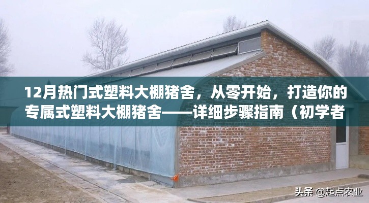 从零开始打造专属式塑料大棚猪舍，详细指南（适合初学者与进阶用户参考）