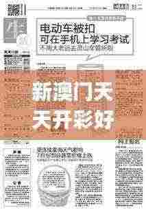 新澳门天天开彩好正版挂牌2024,科技术语评估说明_豪华版9.555