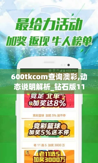 600tkcom查询澳彩,动态说明解析_钻石版11.293