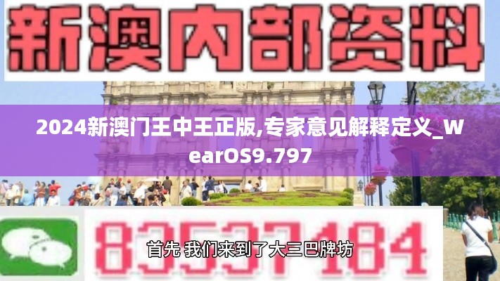 2024新澳门王中王正版,专家意见解释定义_WearOS9.797
