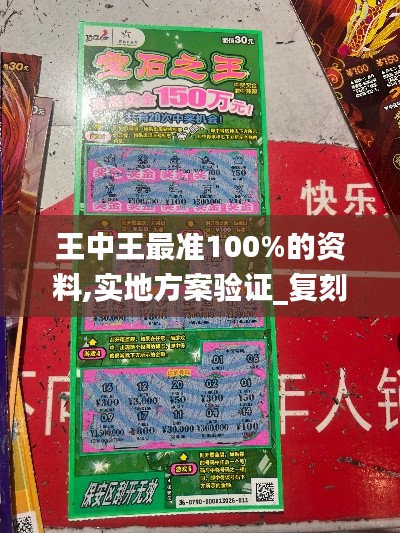 王中王最准100%的资料,实地方案验证_复刻款7.405