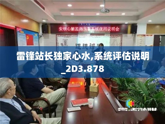 雷锋站长独家心水,系统评估说明_2D3.878