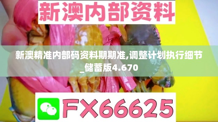 新澳精准内部码资料期期准,调整计划执行细节_储蓄版4.670