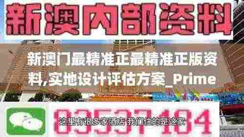 新澳门最精准正最精准正版资料,实地设计评估方案_Prime8.876