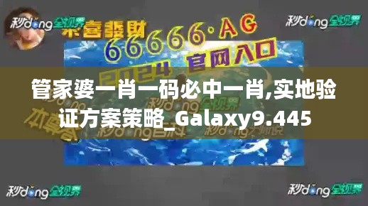 管家婆一肖一码必中一肖,实地验证方案策略_Galaxy9.445
