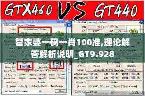 管家婆一码一肖100准,理论解答解析说明_GT9.928