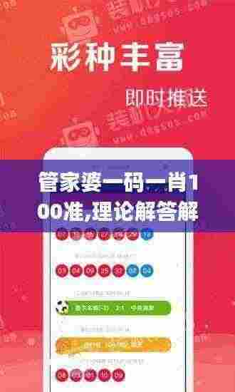 管家婆一码一肖100准,理论解答解析说明_GT9.928