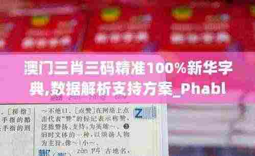 澳门三肖三码精准100%新华字典,数据解析支持方案_Phablet9.284