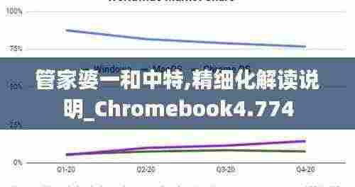 管家婆一和中特,精细化解读说明_Chromebook4.774