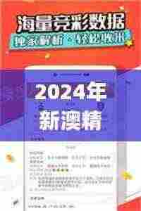2024年新澳精准资料免费提供网站,经典解析说明_4K版2.348